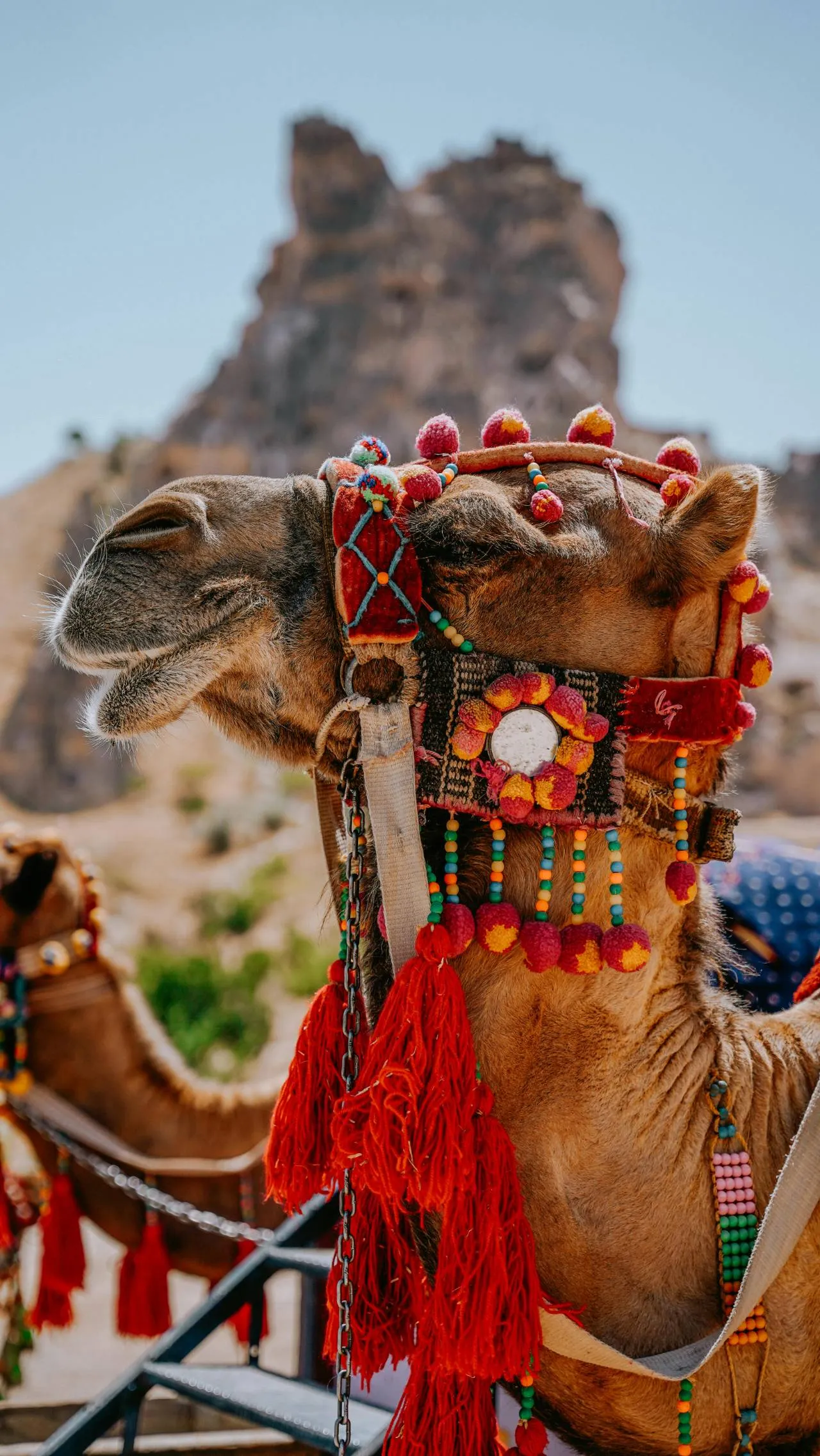 Desert Overnight Tour in Wahiba Sands